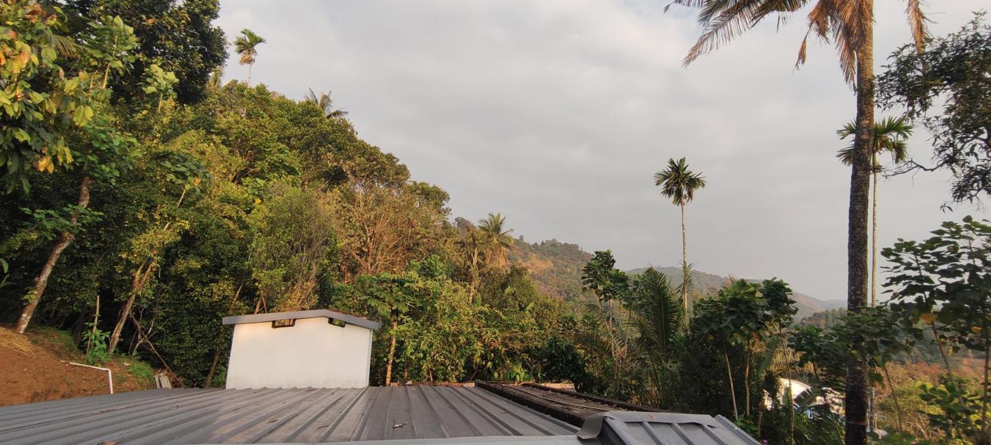 Koonamparayil Home Stay Munnar Anaviratty-Family Only Eksteriør billede