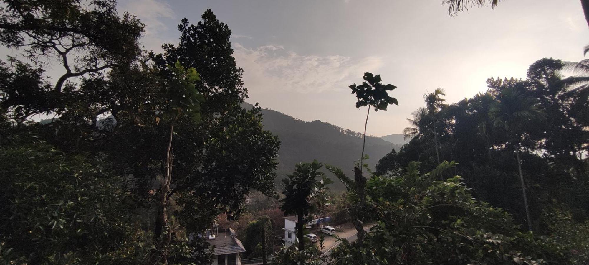 Koonamparayil Home Stay Munnar Anaviratty-Family Only Eksteriør billede
