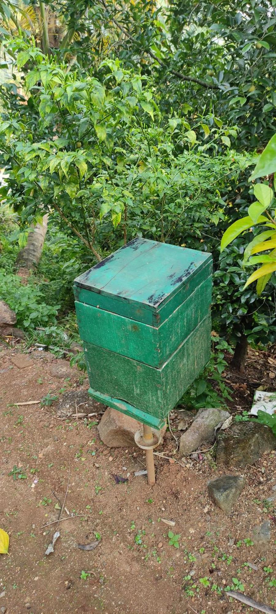 Koonamparayil Home Stay Munnar Anaviratty-Family Only Eksteriør billede