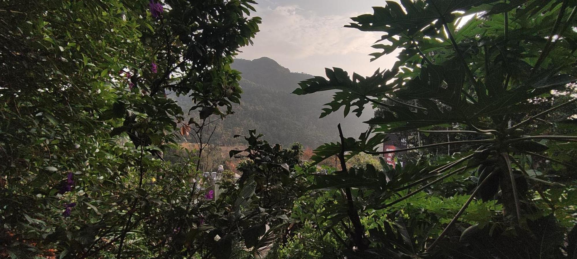 Koonamparayil Home Stay Munnar Anaviratty-Family Only Eksteriør billede