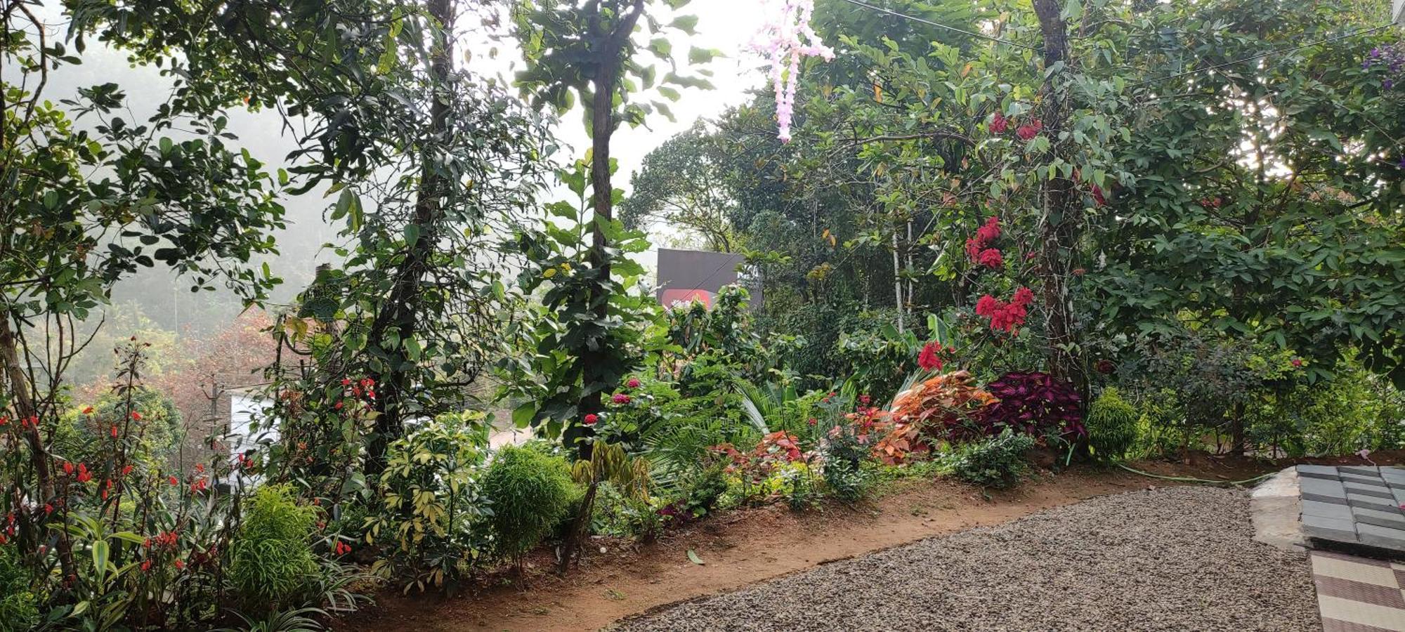 Koonamparayil Home Stay Munnar Anaviratty-Family Only Eksteriør billede