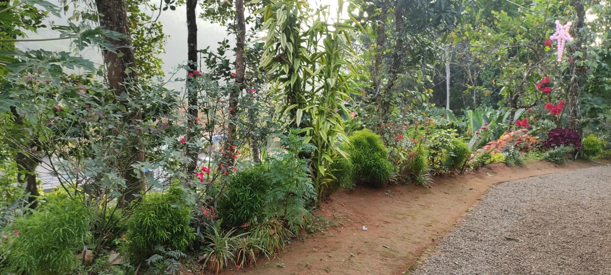 Koonamparayil Home Stay Munnar Anaviratty-Family Only Eksteriør billede