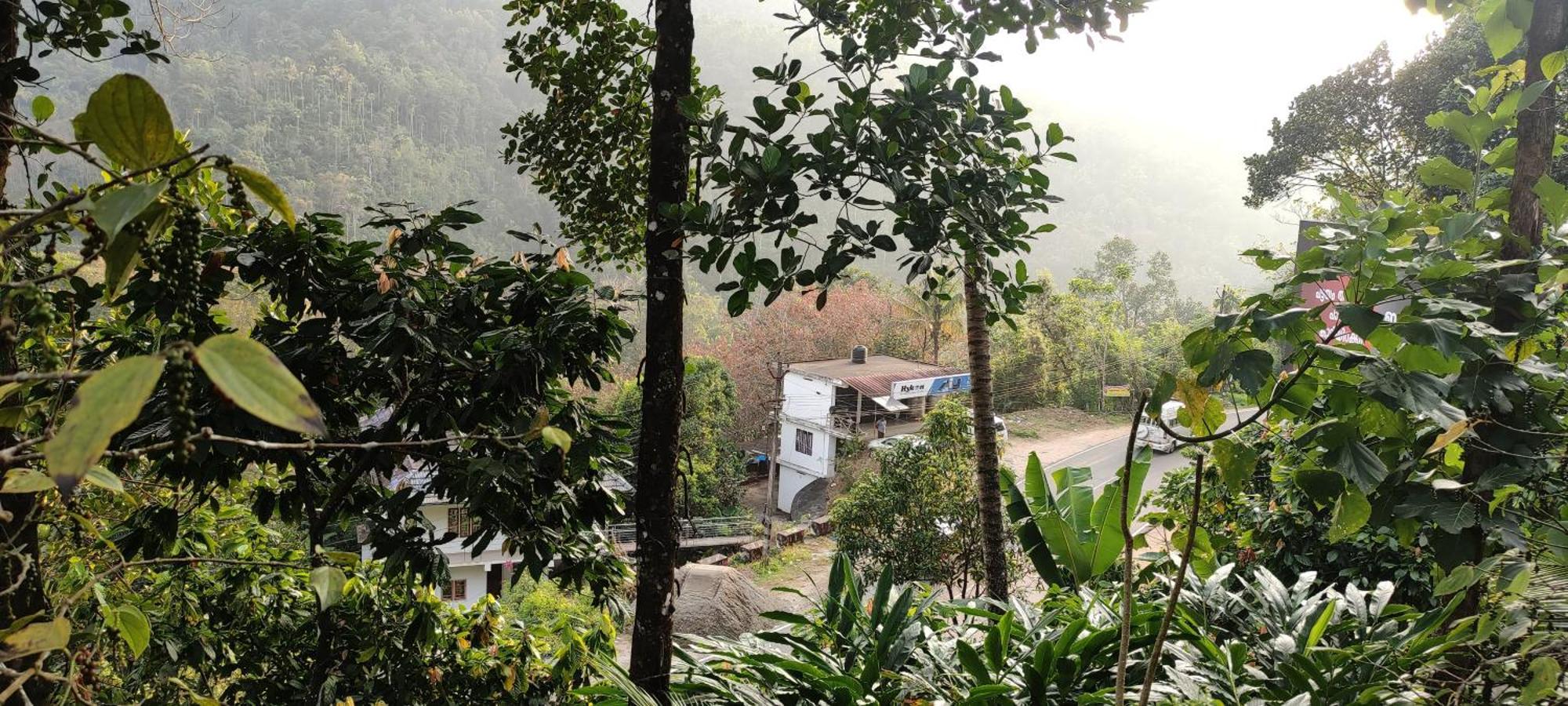 Koonamparayil Home Stay Munnar Anaviratty-Family Only Eksteriør billede